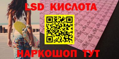 гашик Будённовск