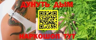 гашик Будённовск