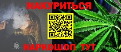 гашик Будённовск