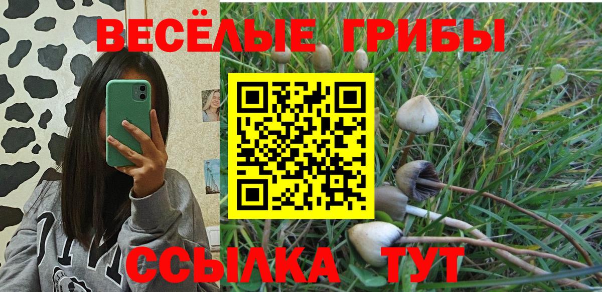 Галлюциногенные грибы ЛСД Сургут